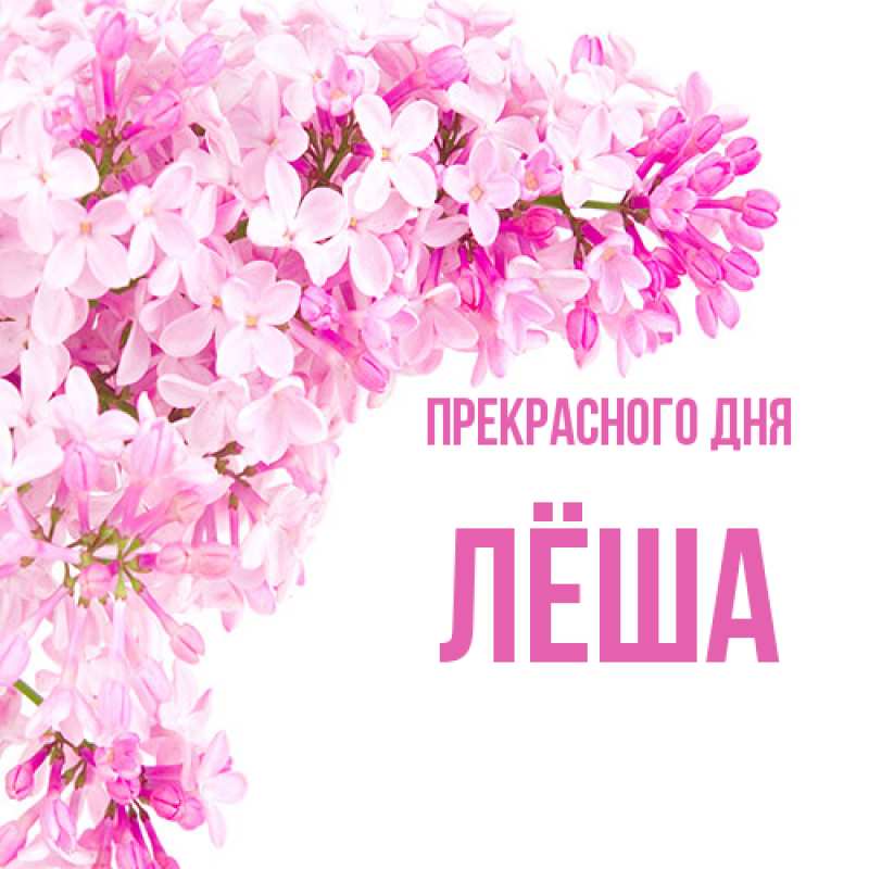 Картинка Прекрасного дня, Лёша