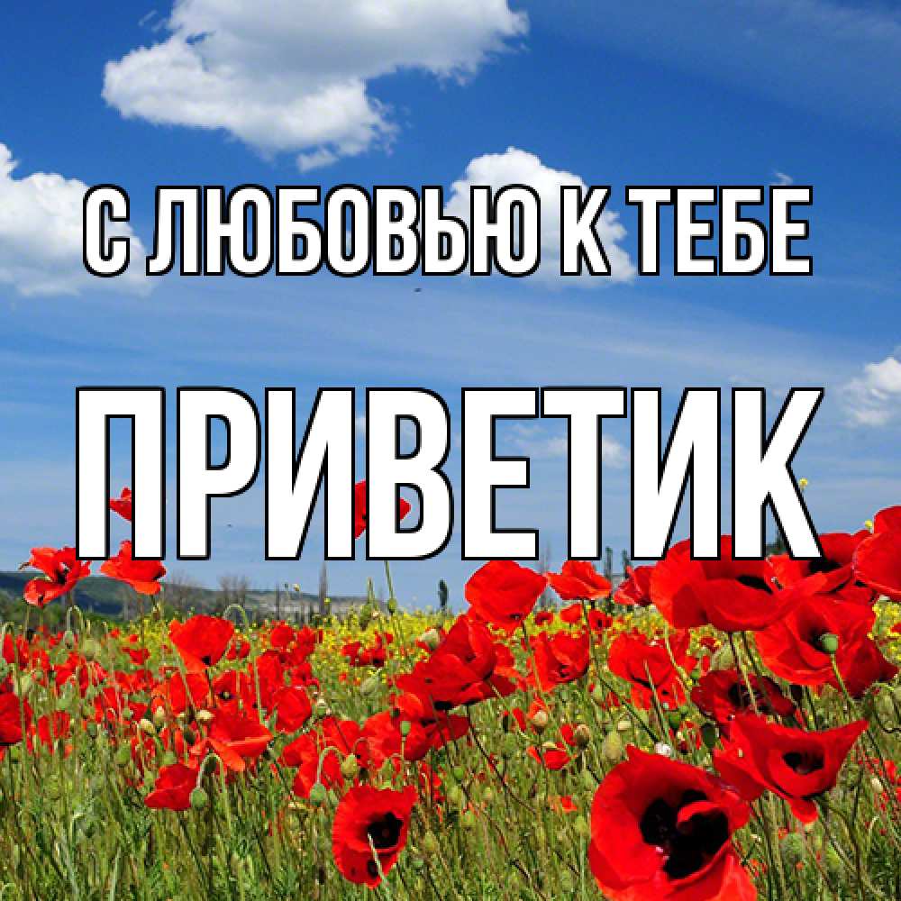 Открытка  с именем. приветик, С любовью к тебе  