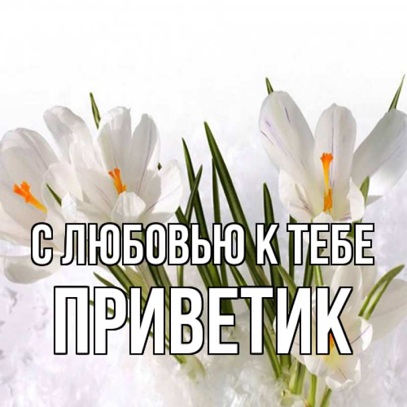 Картинка С любовью к тебе, приветик
