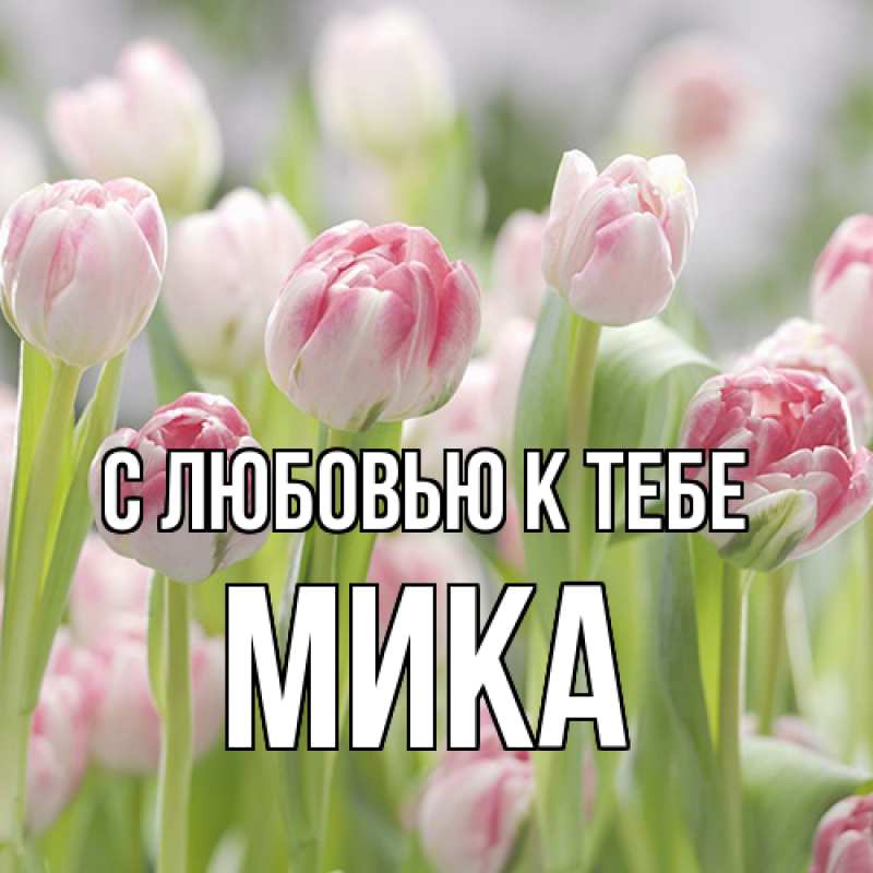 Картинка С любовью к тебе, мика