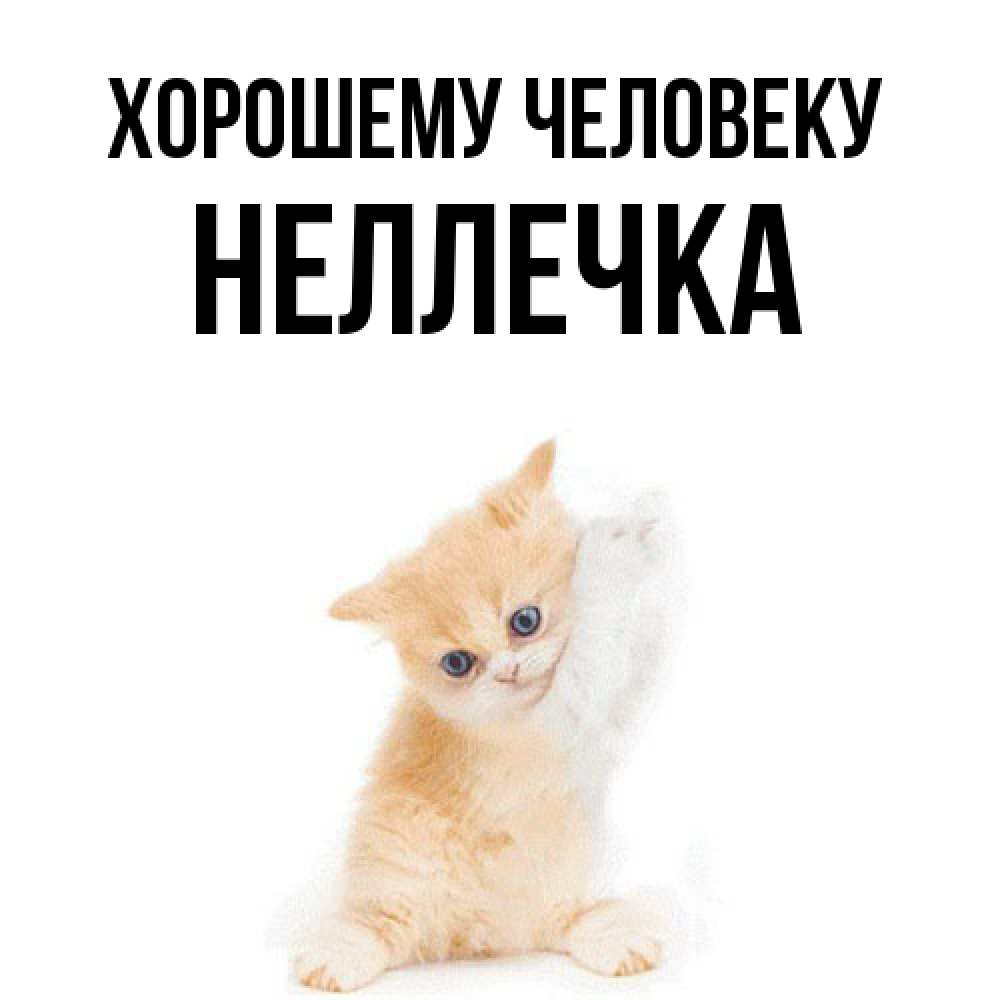 Открытка  с именем. Неллечка, Хорошему человеку  