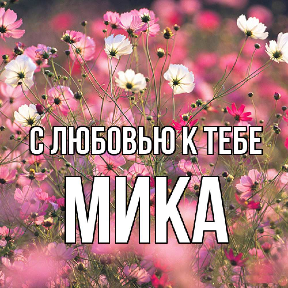 Открытка  с именем. мика, С любовью к тебе  