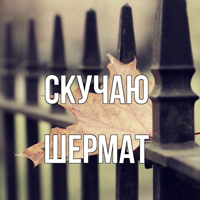 Картинка Скучаю, Шермат