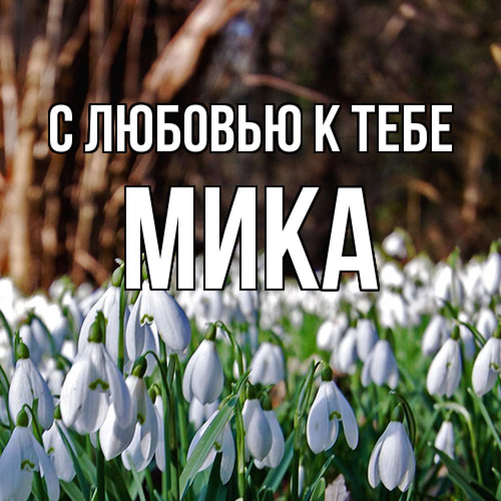 Открытка  с именем. мика, С любовью к тебе  