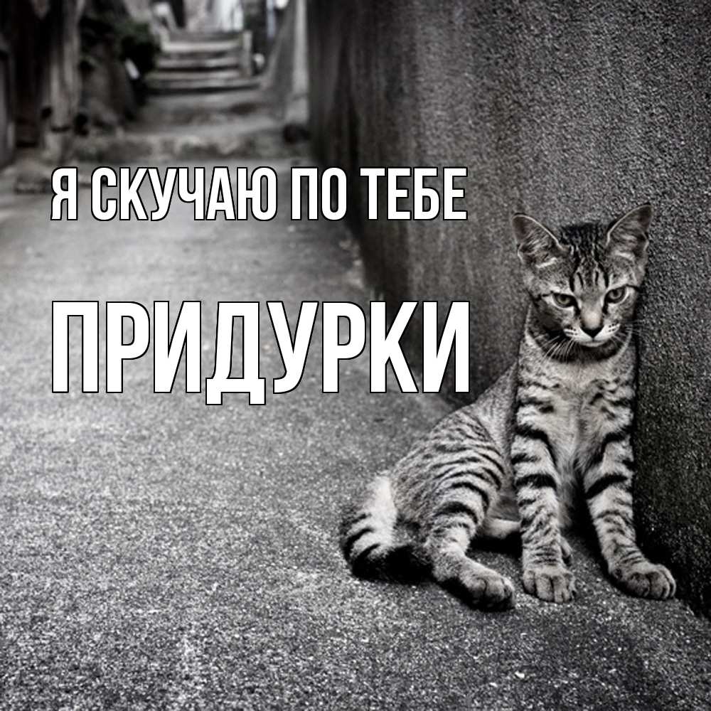 Открытка  с именем. Придурки, Я скучаю по тебе  