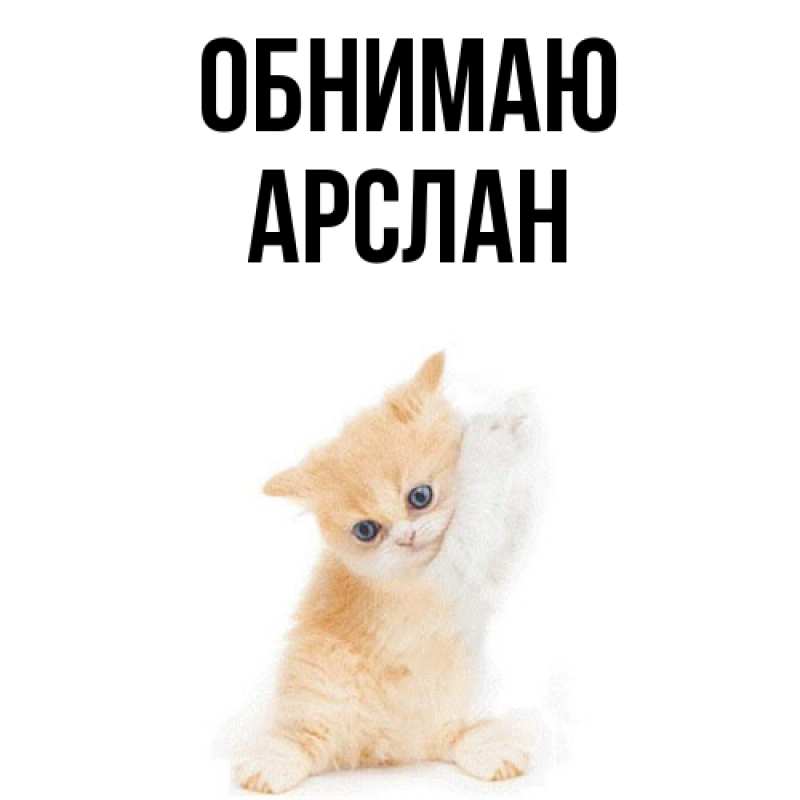 Картинка Обнимаю, Арслан