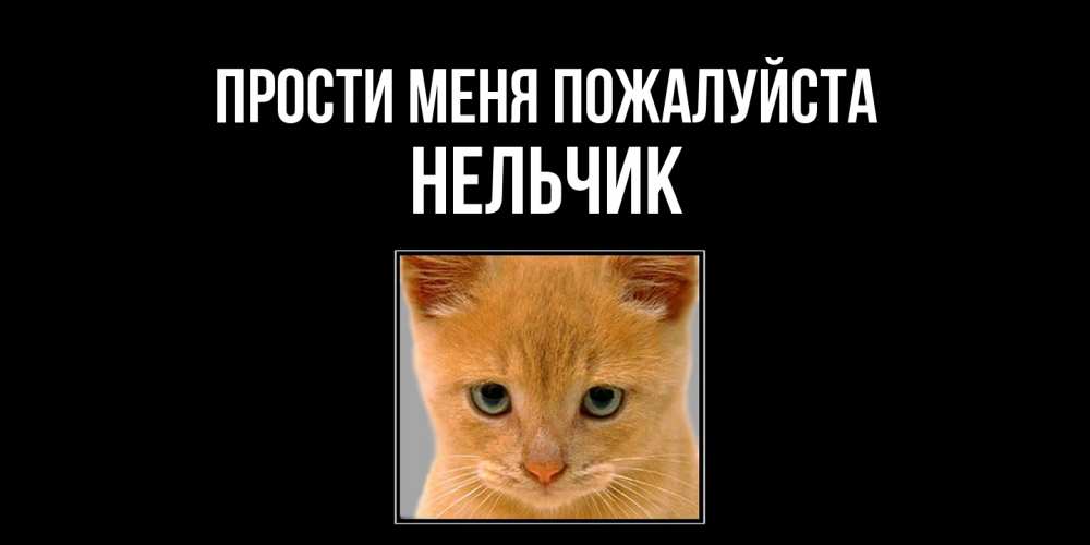 Открытка  с именем. Нельчик, Прости меня пожалуйста  