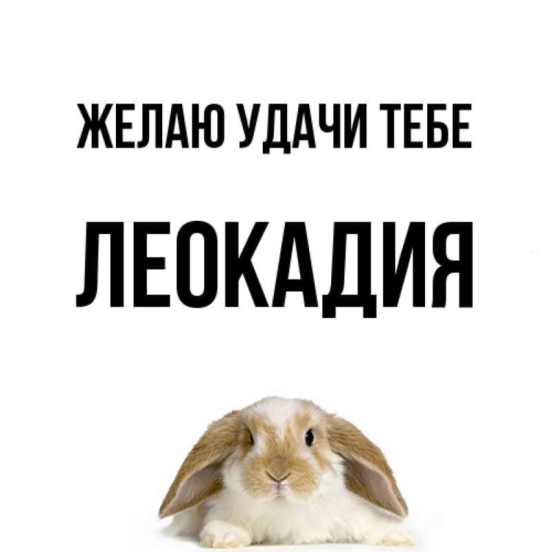 Открытка с именем, Леокадия, Желаю удачи тебе