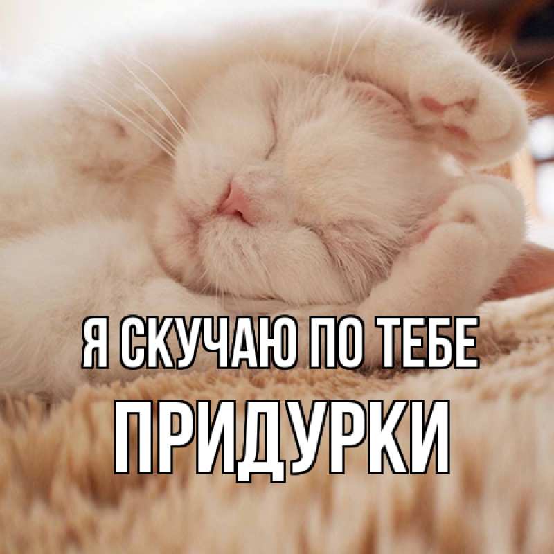 Картинка Я скучаю по тебе, Придурки