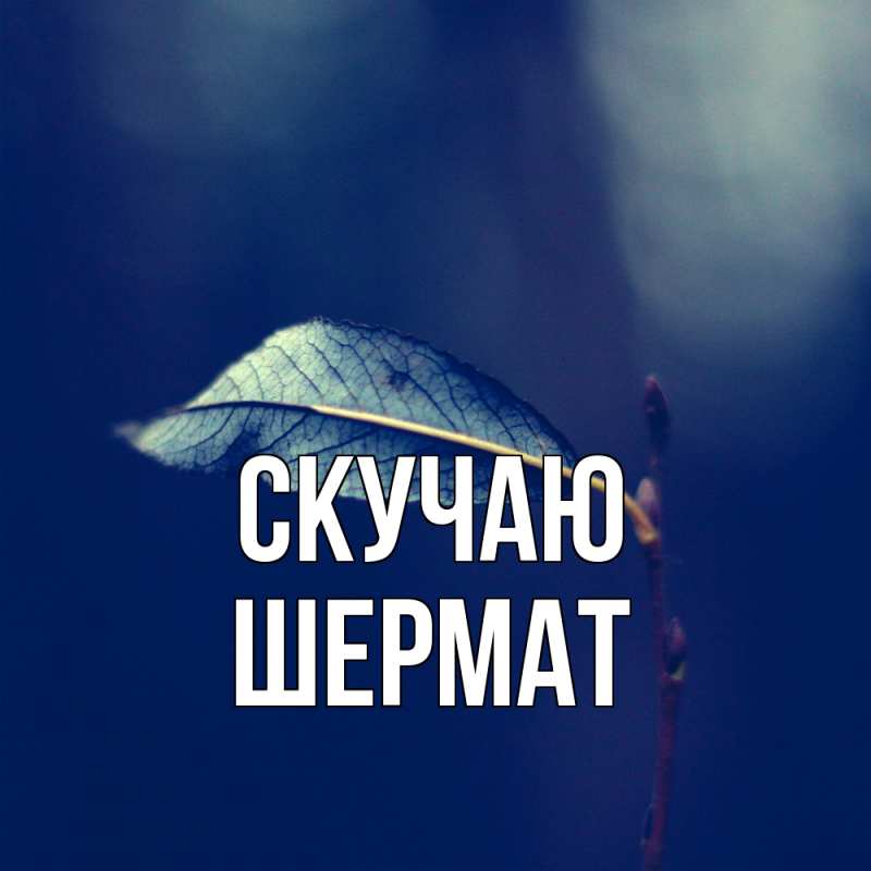 Картинка Скучаю, Шермат