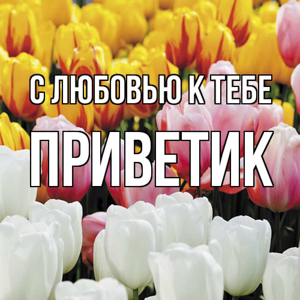 Открытка  с именем. приветик, С любовью к тебе  