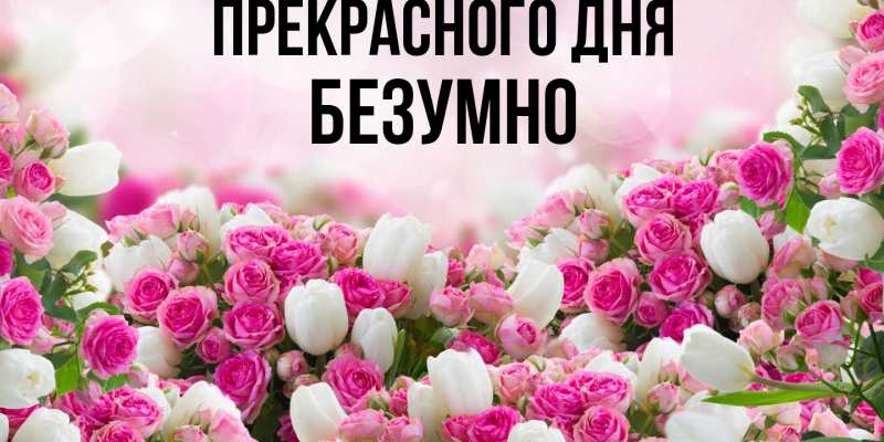 Открытка с именем, безумно, Прекрасного дня