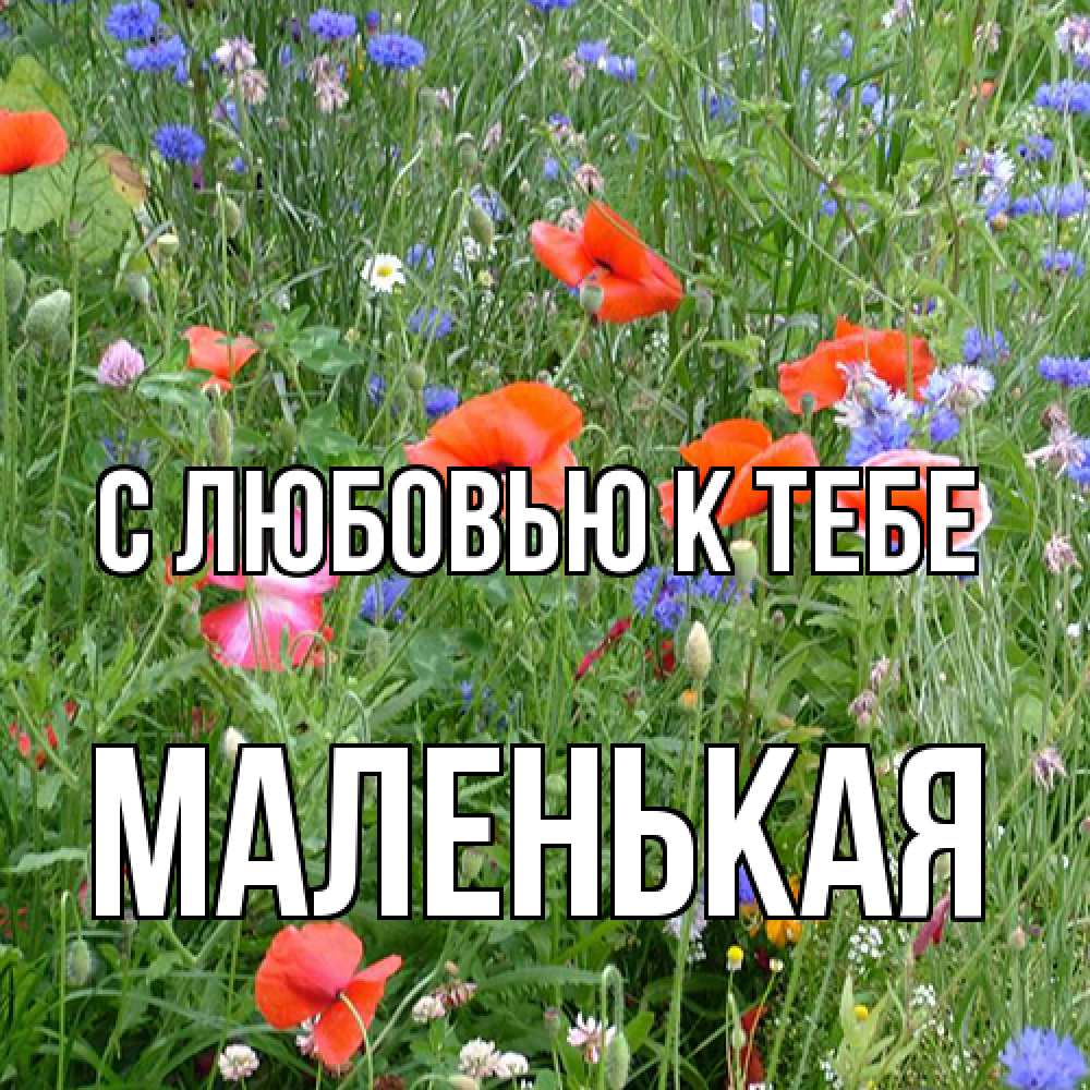 Открытка  с именем. Маленькая, С любовью к тебе  