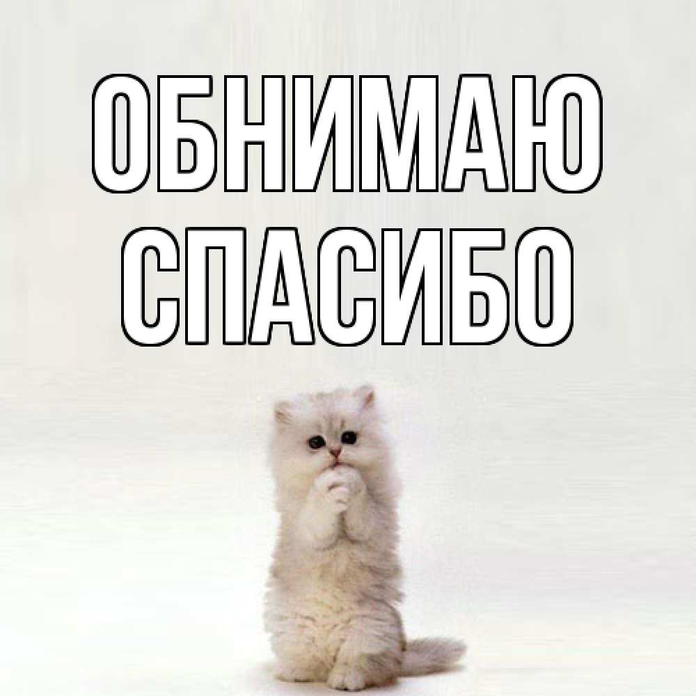 Открытка  с именем. СПАСИБО, Обнимаю  