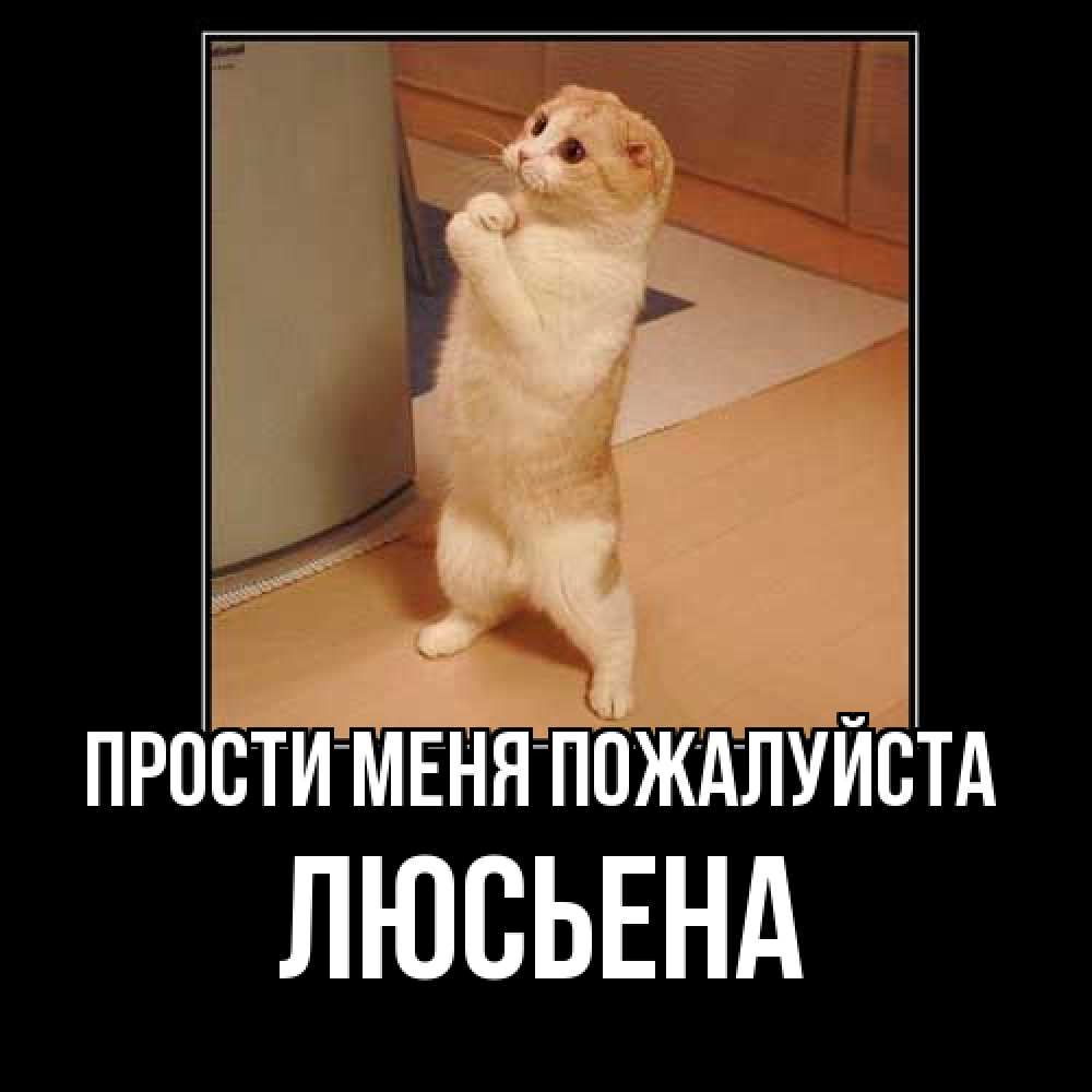 Открытка  с именем. Люсьена, Прости меня пожалуйста  