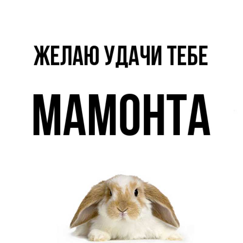 Открытка с именем, МАМОНТА, Желаю удачи тебе