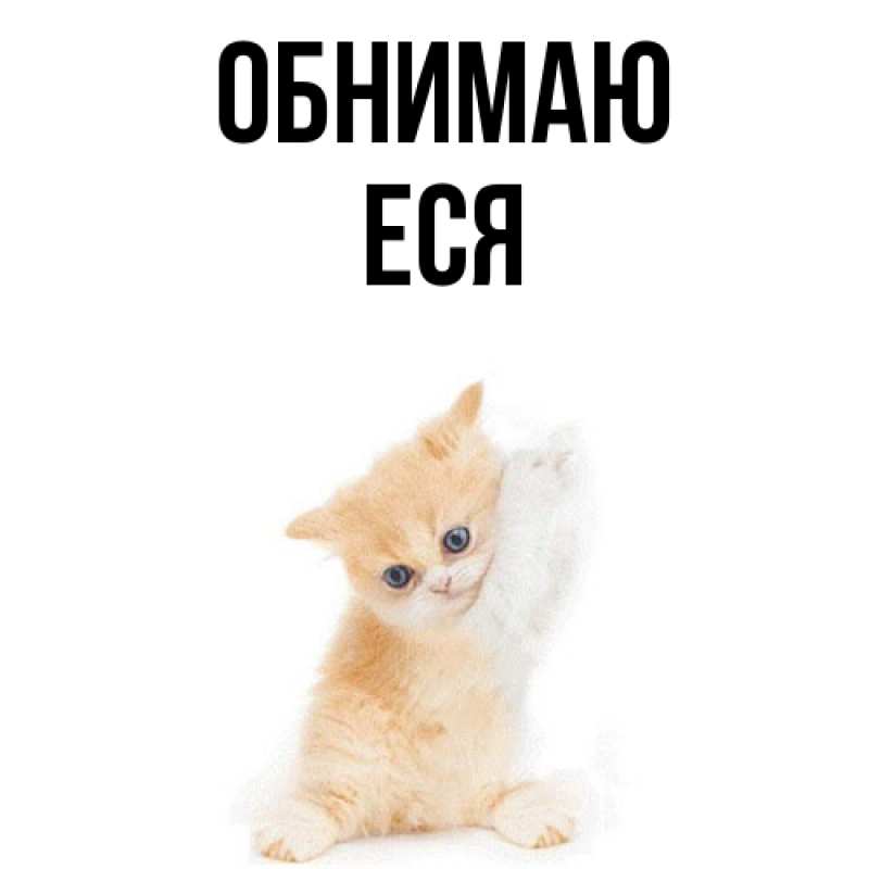 Картинка Обнимаю, Еся