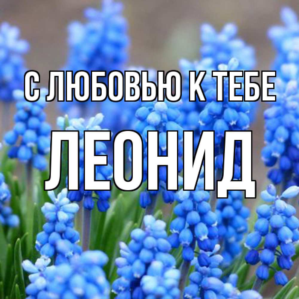 Открытка  с именем. Леонид, С любовью к тебе  