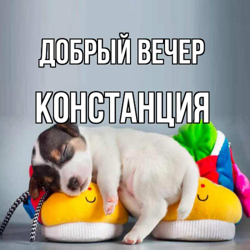 Картинка Добрый вечер, Констанция