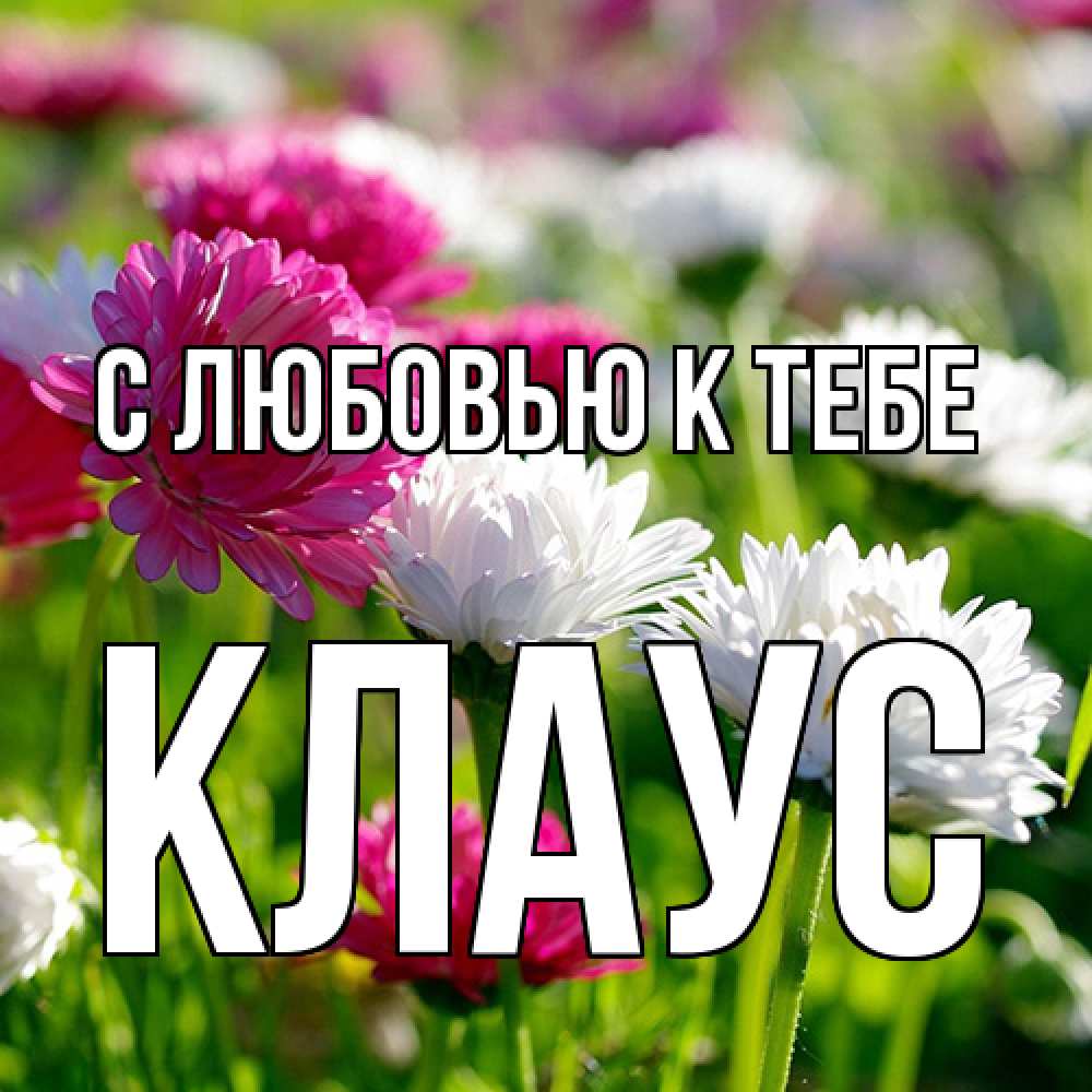 Открытка  с именем. Клаус, С любовью к тебе  