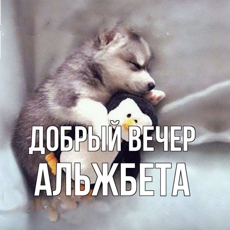 Картинка Добрый вечер, Альжбета