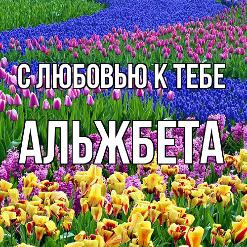 Картинка С любовью к тебе, Альжбета