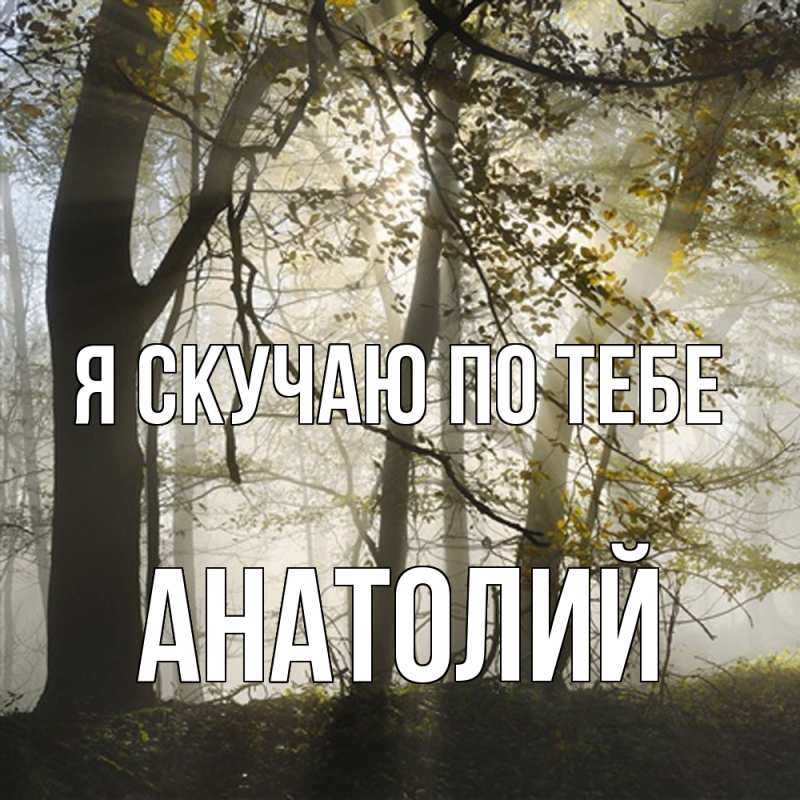 Картинка Я скучаю по тебе, Анатолий