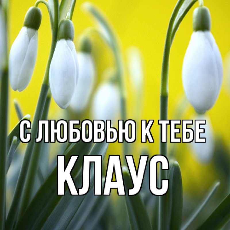 Картинка С любовью к тебе, Клаус