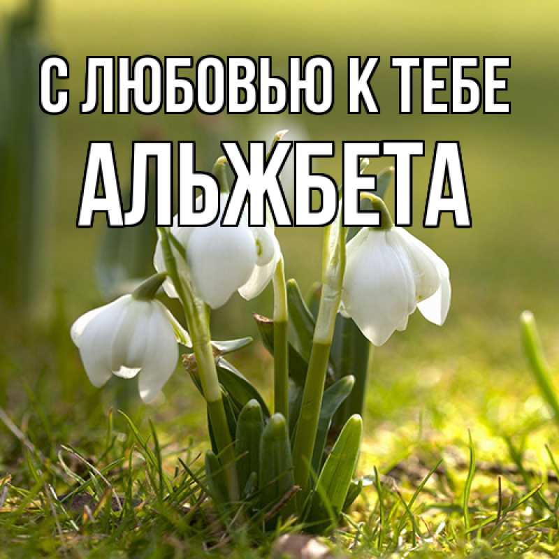 Картинка С любовью к тебе, Альжбета