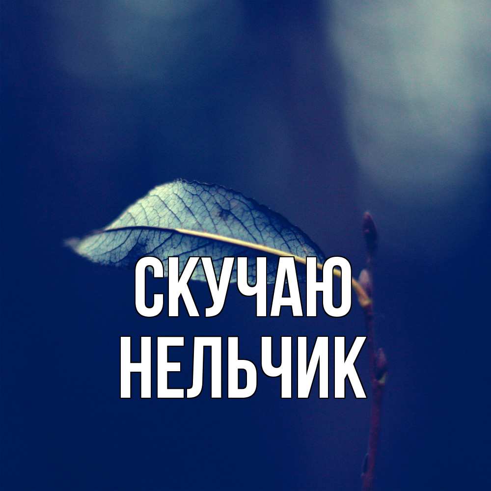 Открытка  с именем. Нельчик, Скучаю  