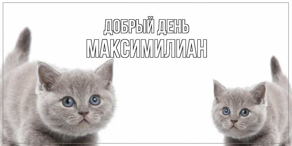 Открытка  с именем. Максимилиан, Добрый день  