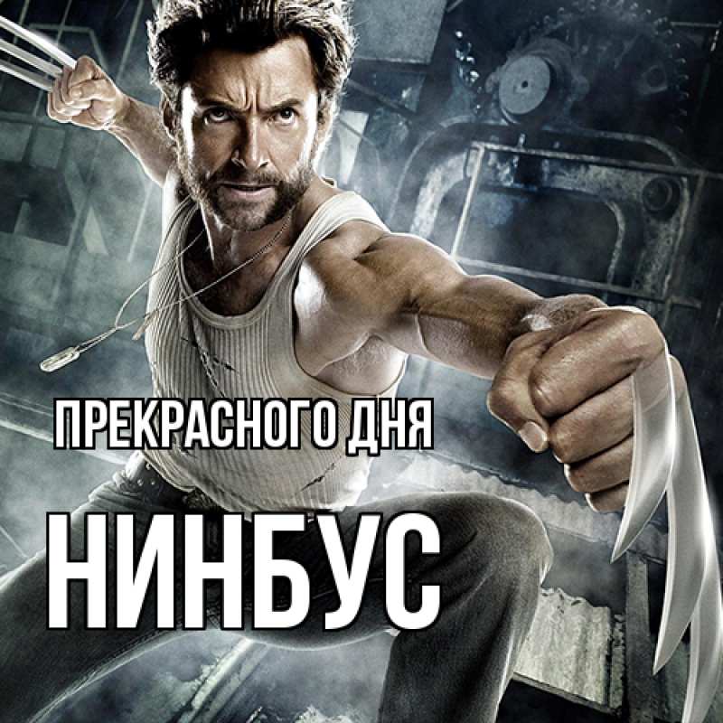 Картинка Прекрасного дня, нинбус