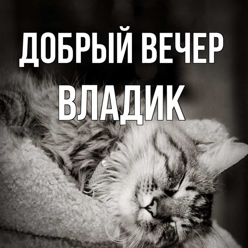 Картинка Добрый вечер, Владик