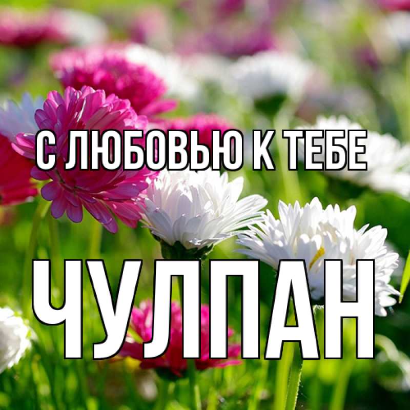 Открытка с именем, Чулпан, С любовью к тебе