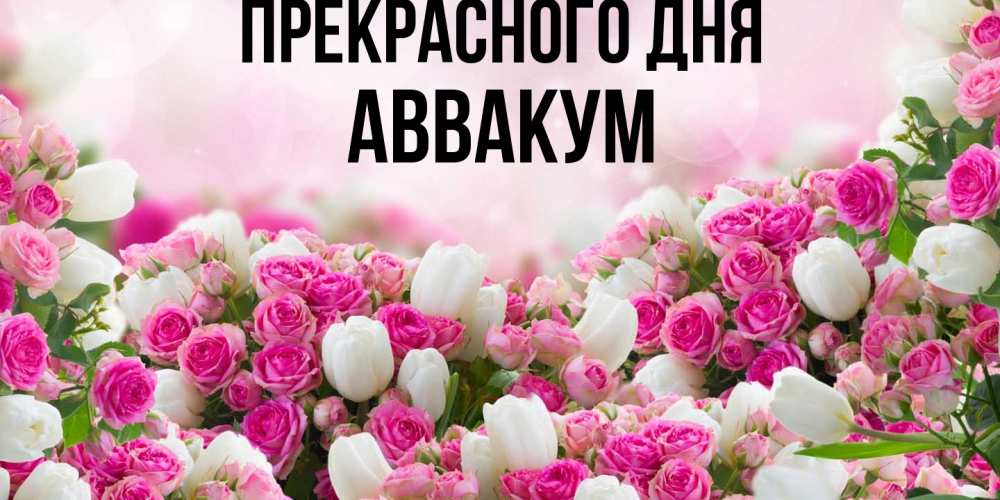 Открытка  с именем. Аввакум, Прекрасного дня  