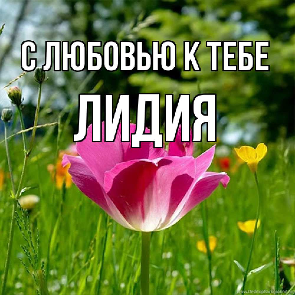 Открытка  с именем. лидия, С любовью к тебе  