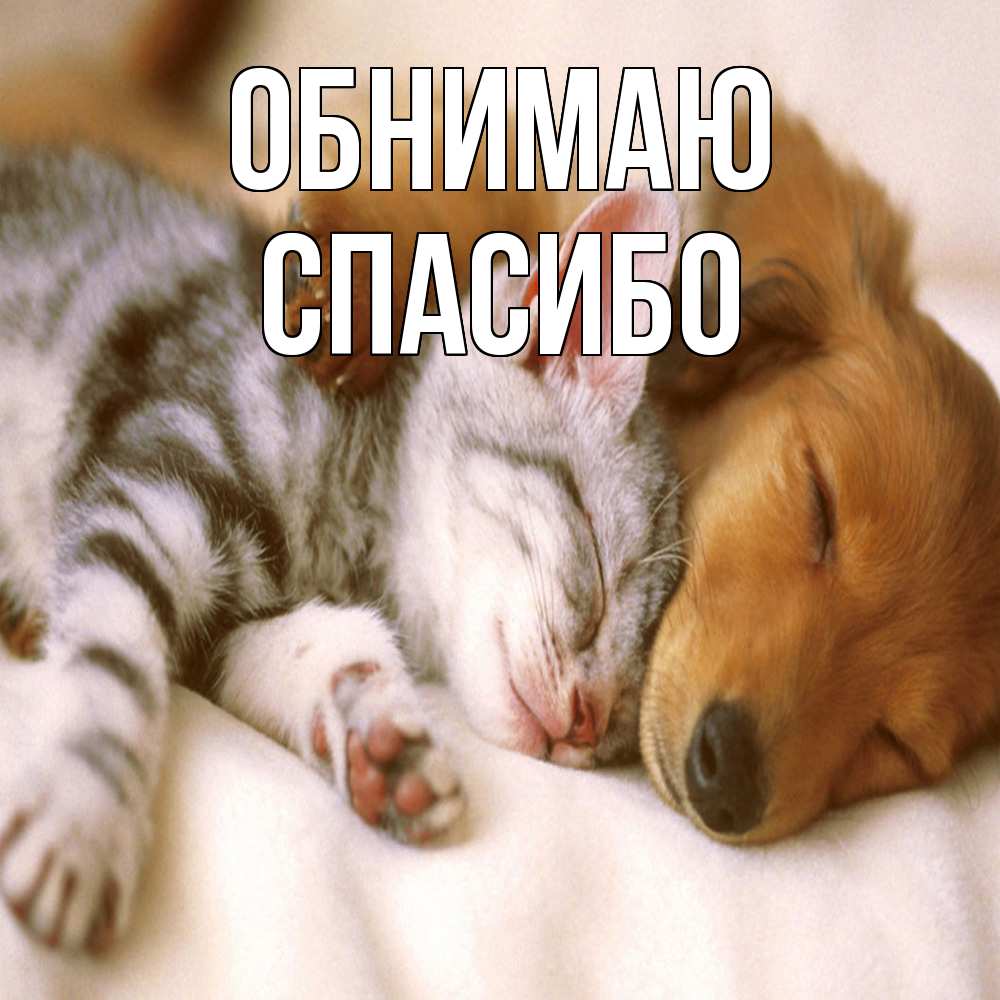 Открытка  с именем. СПАСИБО, Обнимаю  