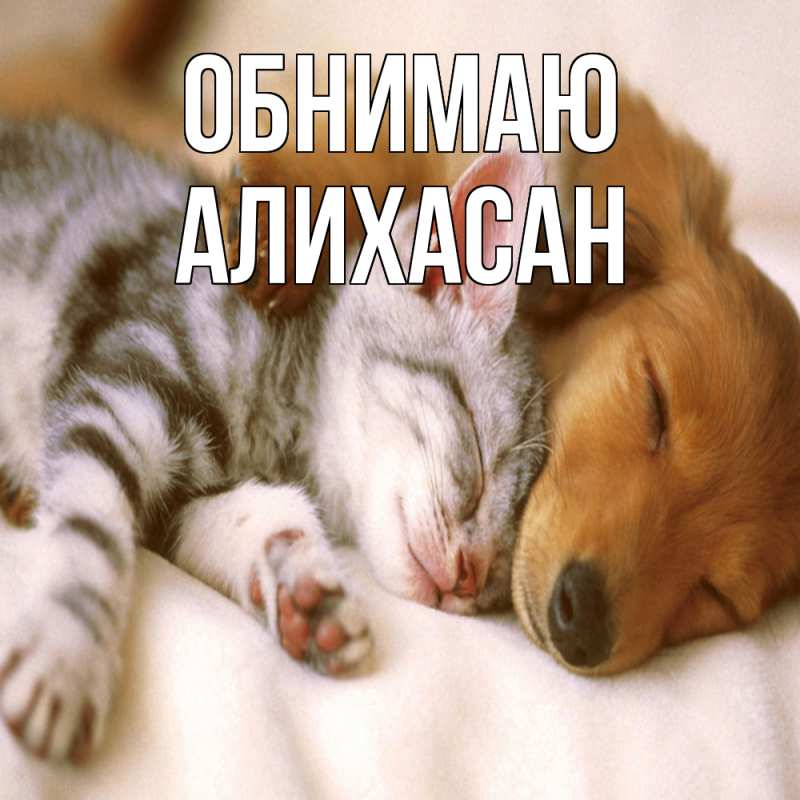 Картинка Обнимаю, АлиХасан