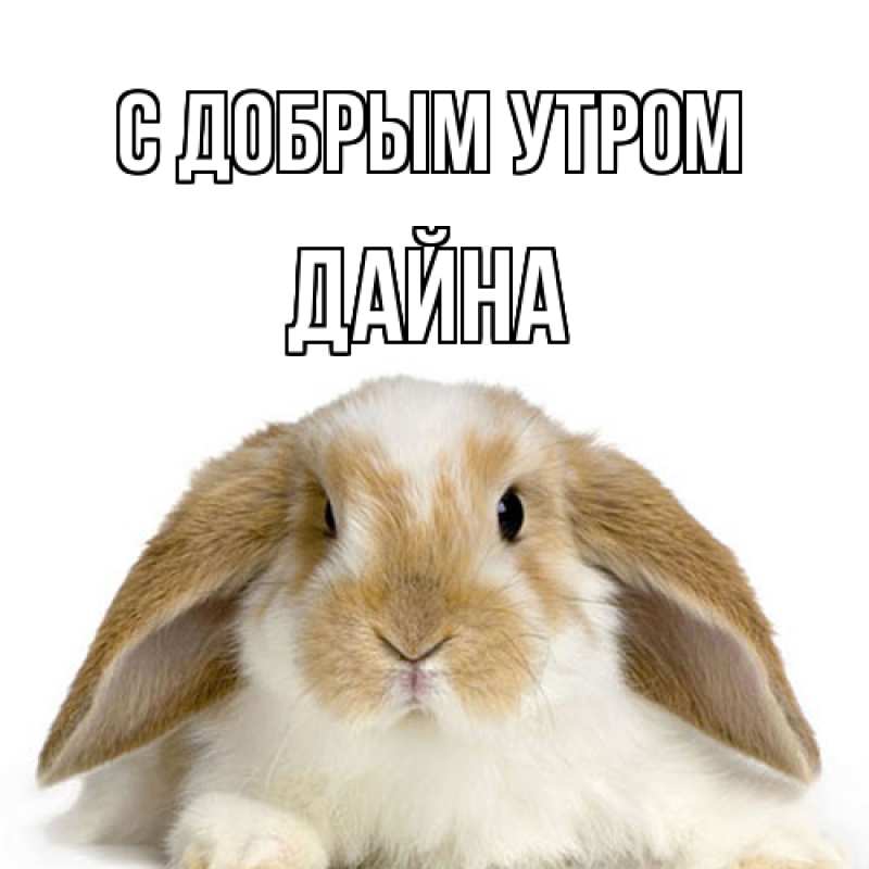 Картинка С добрым утром, Дайна