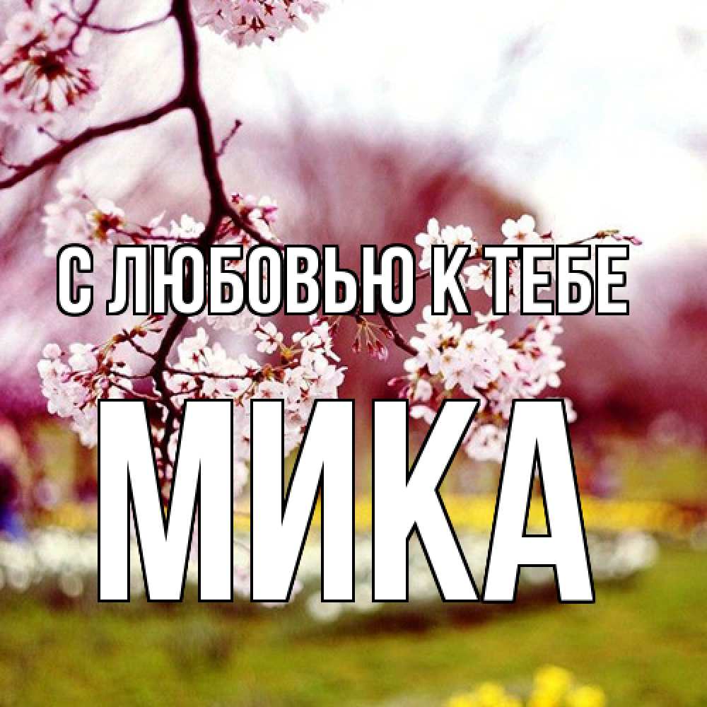 Открытка  с именем. мика, С любовью к тебе  