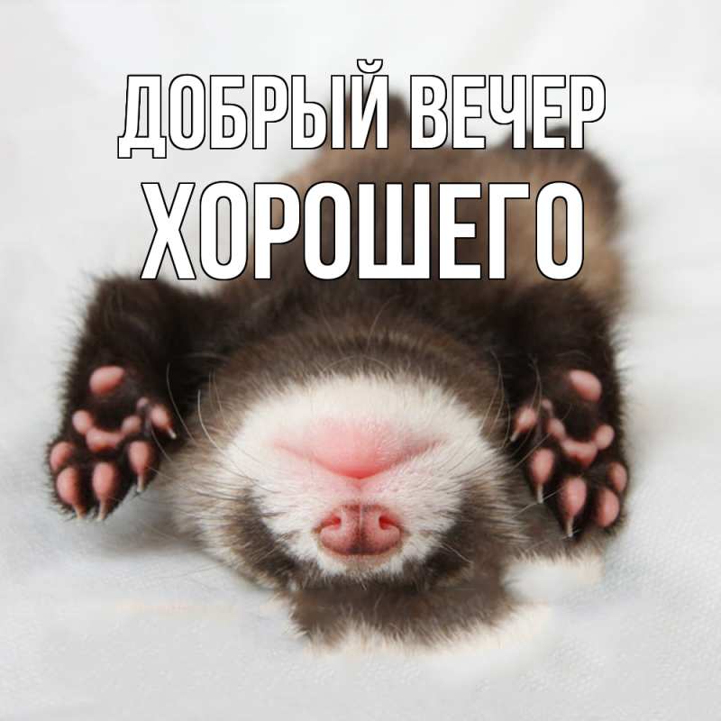 Картинка Добрый вечер, Хорошего