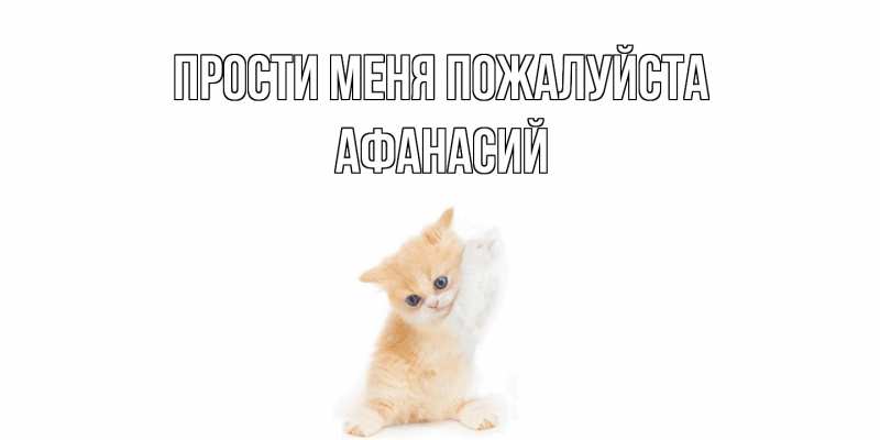 Картинка Прости меня пожалуйста, Афанасий