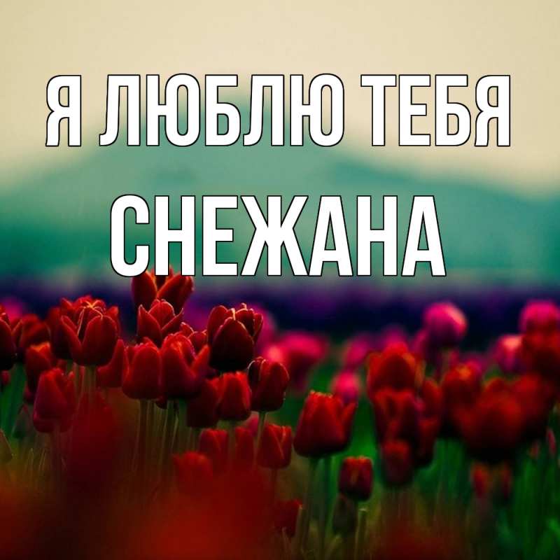 Открытка с именем, Снежана, Я люблю тебя