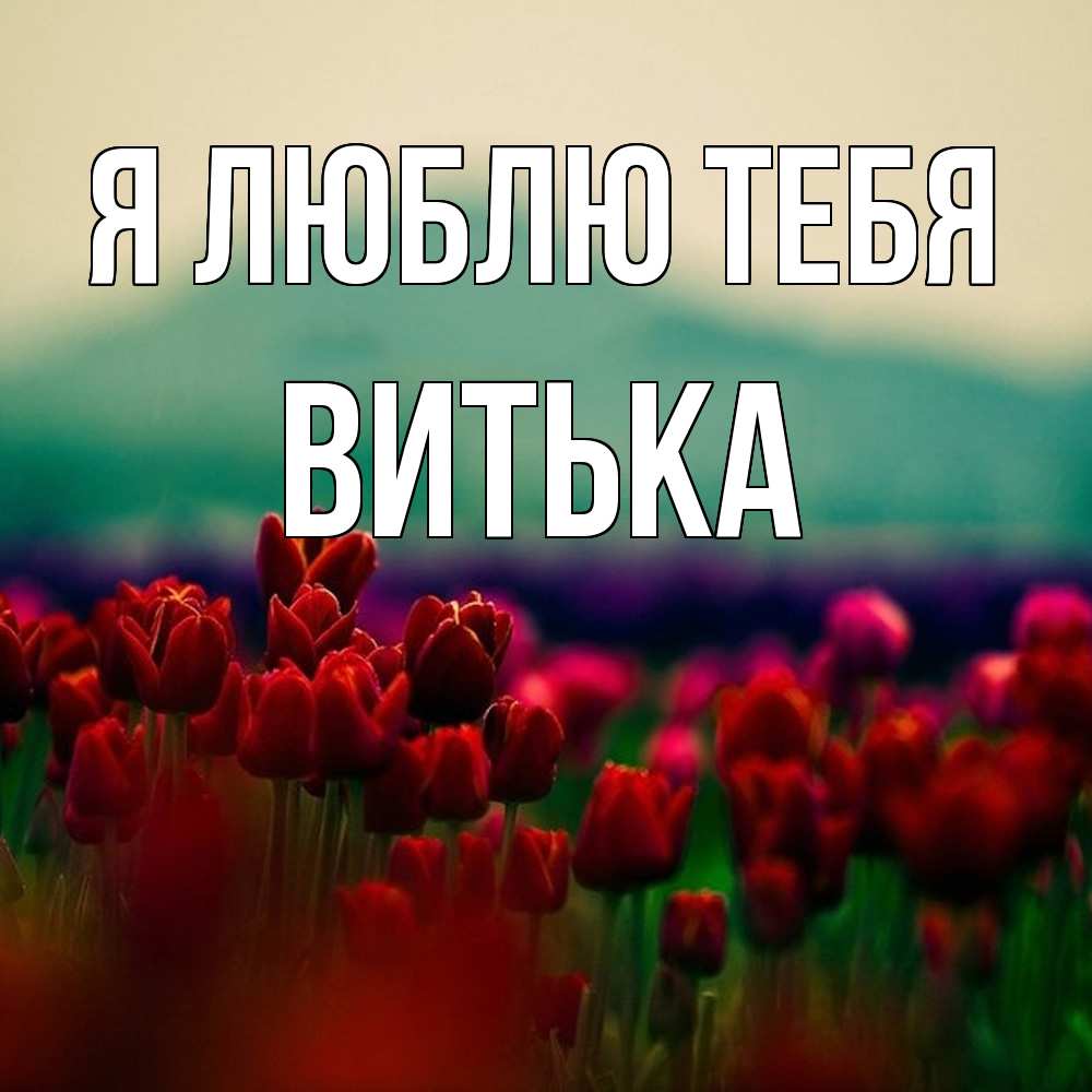 Открытка  с именем. Витька, Я люблю тебя  