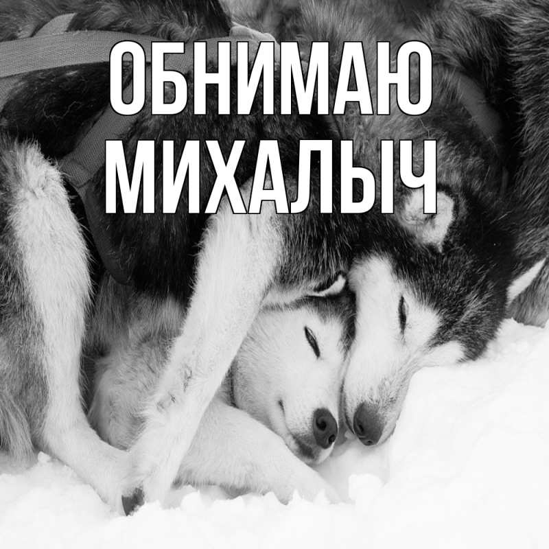 Картинка Обнимаю, Михалыч