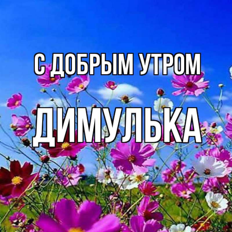 Картинка С добрым утром, Димулька