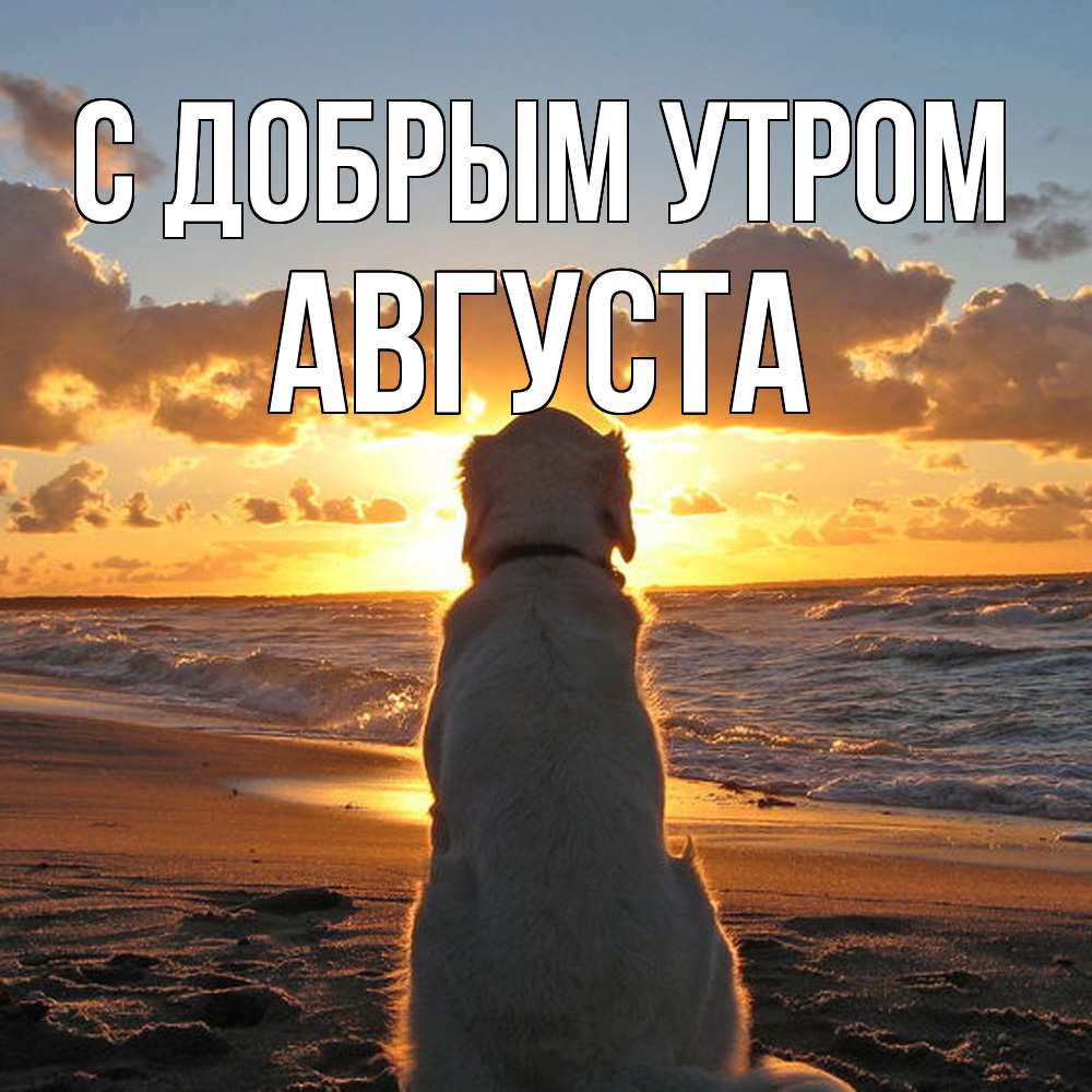 Открытка  с именем. Августа, С добрым утром  