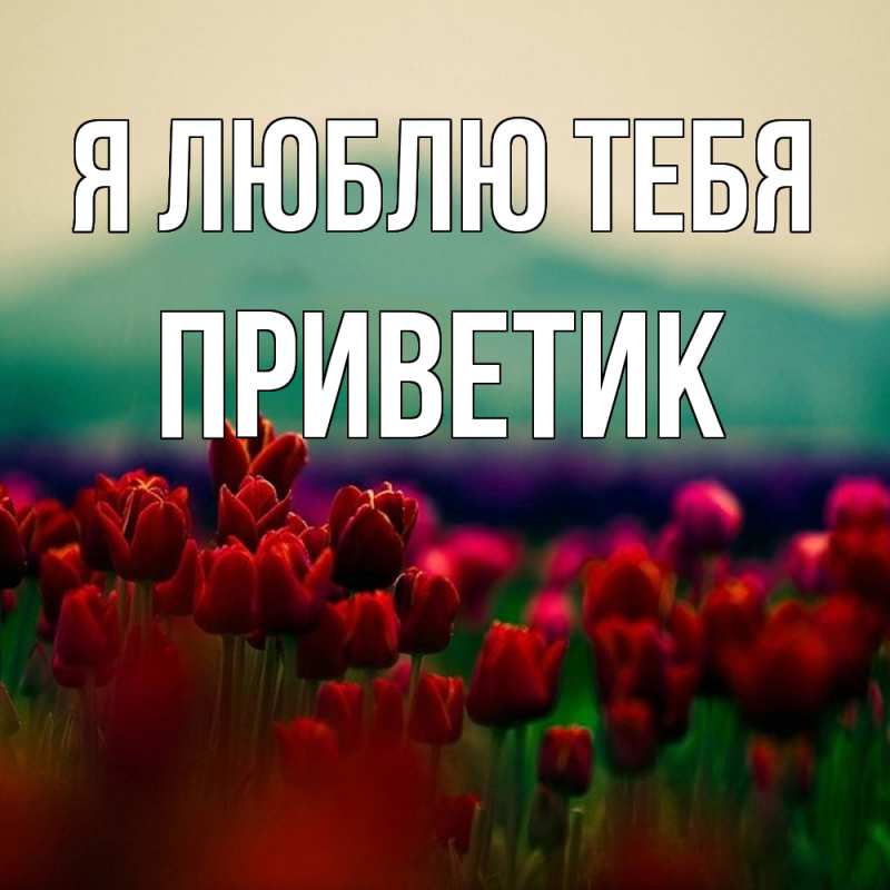 Картинка Я люблю тебя, приветик