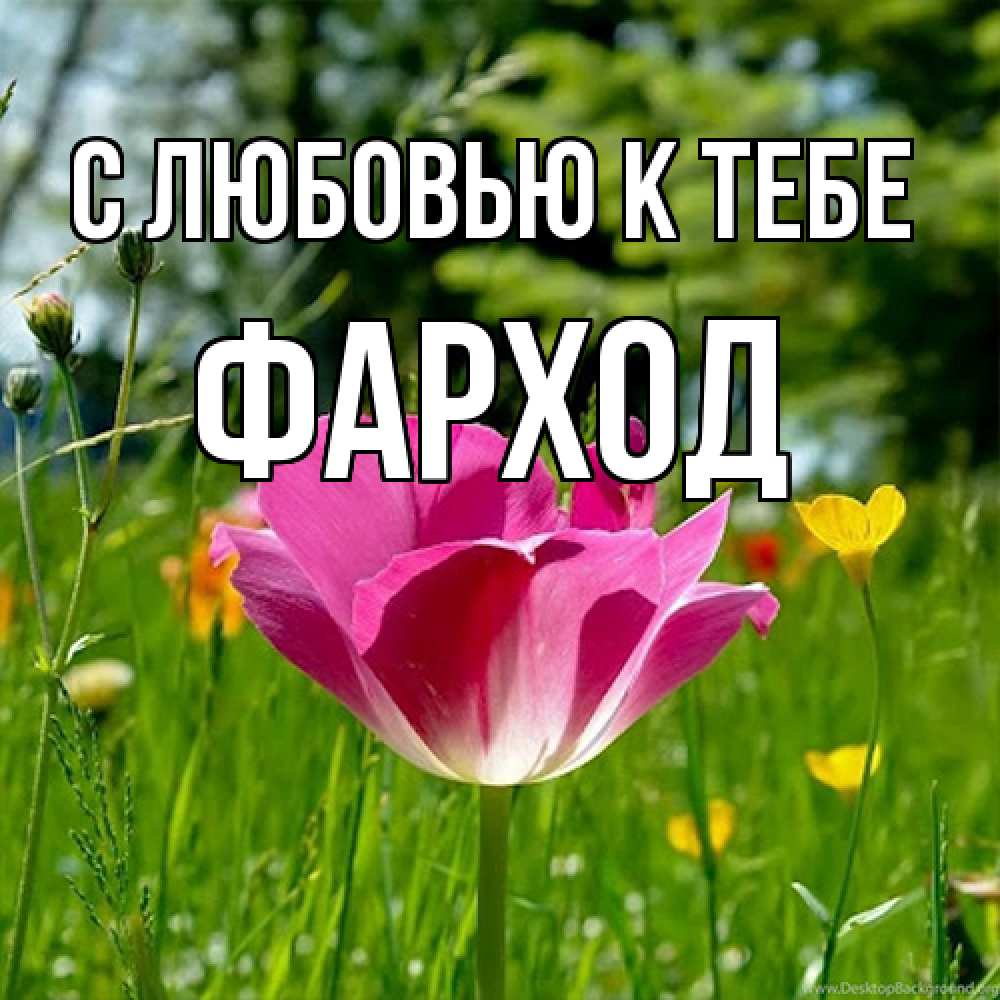 Открытка  с именем. Фарход, С любовью к тебе  