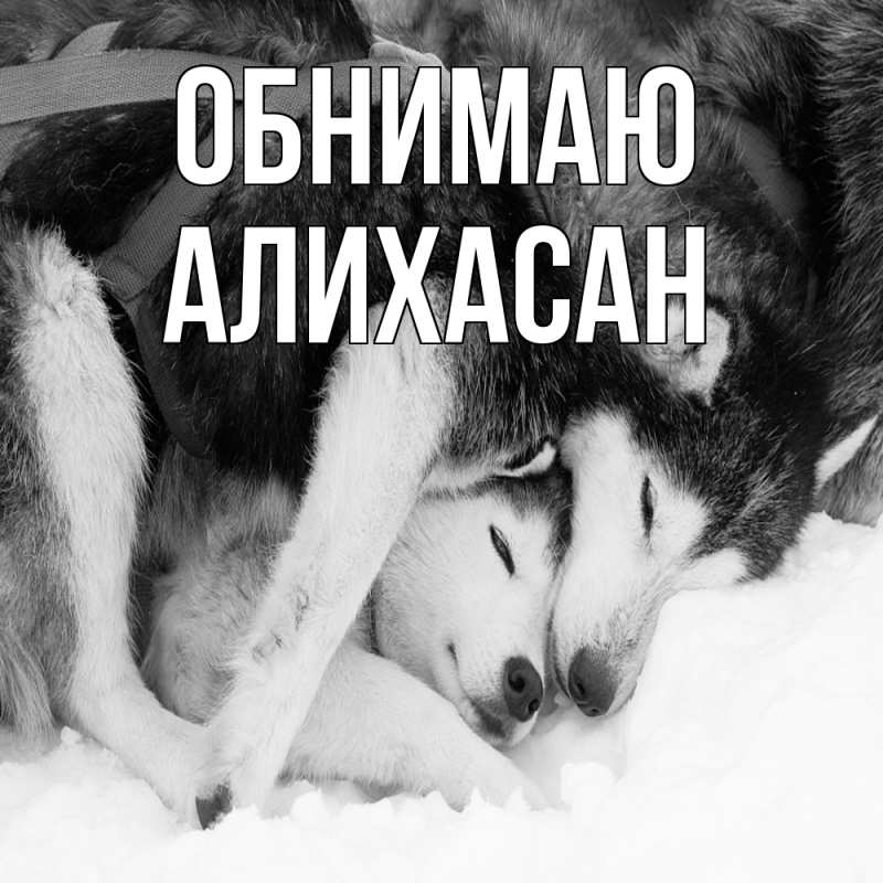 Картинка Обнимаю, АлиХасан